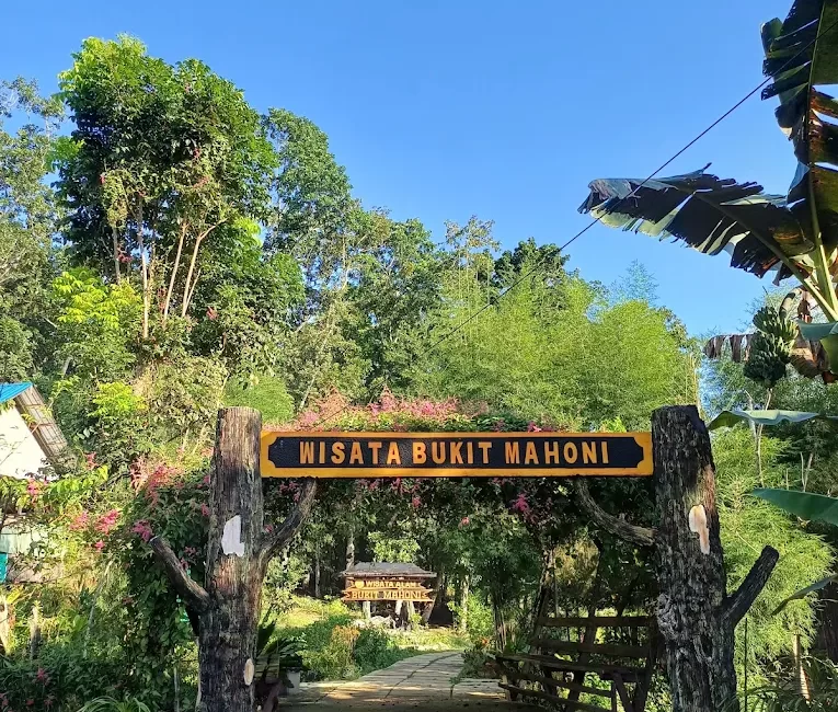 Bukit Mahoni Menyala.