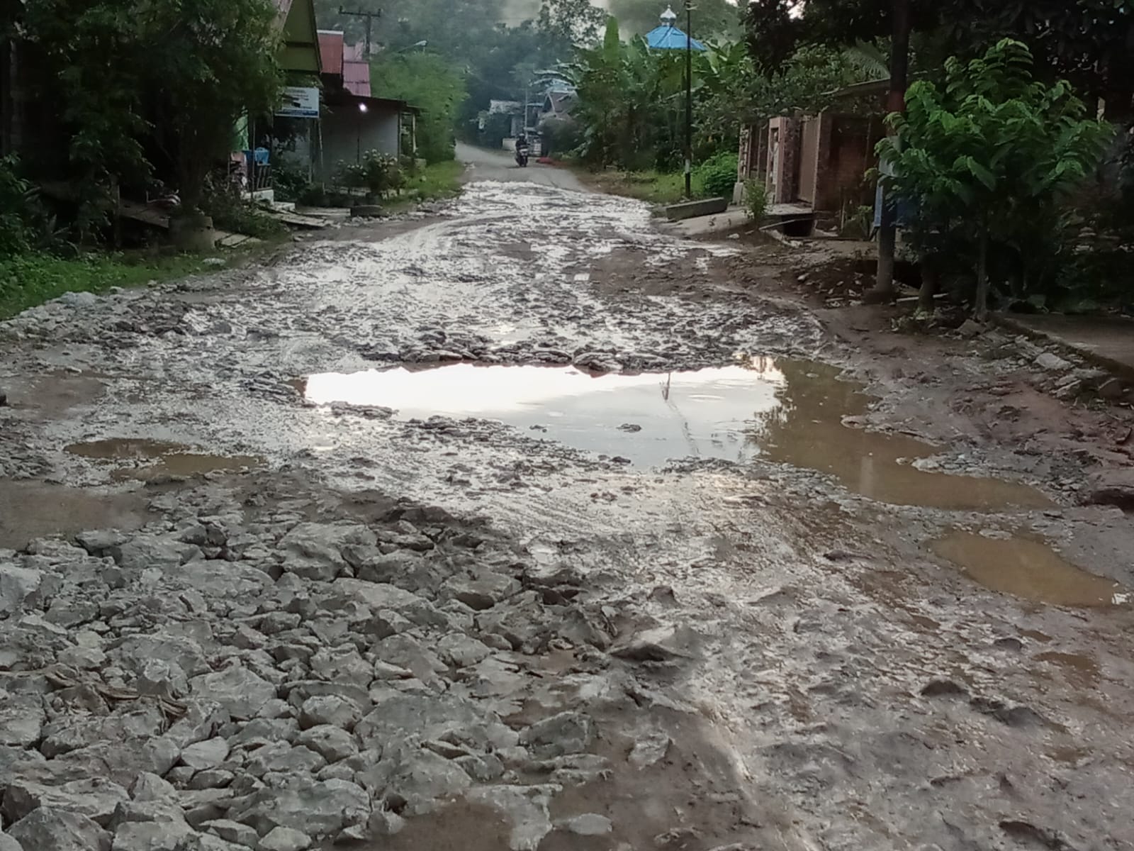Kondisi jalan utama penghubung 5 desa Kecamatan Loa Kulu saat hujan. (Istimewa)