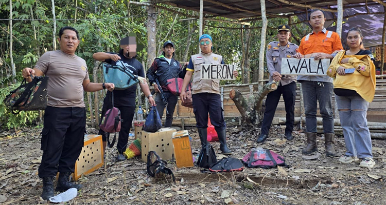 Petugas Polsek Loa Janan mengamankan barang bukti dari arena sabung ayam. (Dok. Polsek Loa Janan)